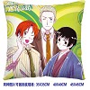 Axis Powers Hetalia double sides pillow BZ2681