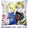 Axis Powers Hetalia double sides pillow BZ2682