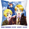 Axis Powers Hetalia double sides pillow BZ2683