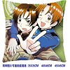 Axis Powers Hetalia double sides pillow BZ2687