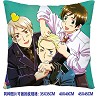 Axis Powers Hetalia double sides pillow BZ2688