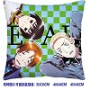 Axis Powers Hetalia double sides pillow BZ2689