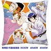 Axis Powers Hetalia double sides pillow BZ2690