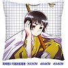 Axis Powers Hetalia double sides pillow BZ2691