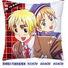 Axis Powers Hetalia double sides pillow BZ2692