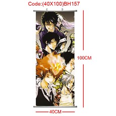 Reborn wallscroll(40X100)BH157