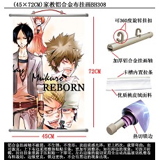 Reborn wallscroll(45X72)BH308