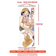 One piece wallscroll(50X150)BH046