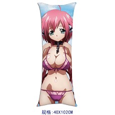 Sora no Otoshimono pillow(40x102) 3029