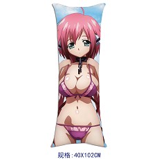 Sora no Otoshimono pillow(40x102) 3029