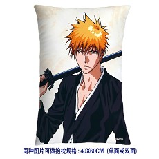 Bleach pillow(40x60) 1956