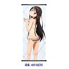 Puella Magi Madoka Magica wallscroll 3022