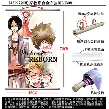 Reborn wallscroll(45X72)BH308