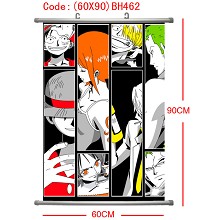 One piece wallscroll(60×90)BH462