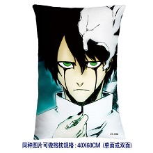 Bleach pillow(40x60) 1958