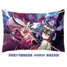 Shingeki no Kyojin double side pilow 2144(40*60)