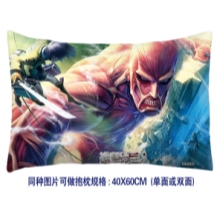 Shingeki no Kyojin double side pilow 2145(40*60)