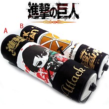 Attack on Titan pen bags(2pcs a set)