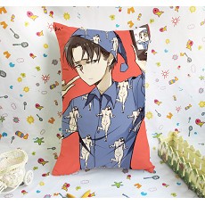 Attack on Titan two-sided pillow(40X60)BZ014