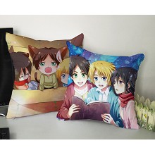 Attack on Titan two-sided pillow(35X35)BZ010