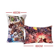 Collection two-sided pillow