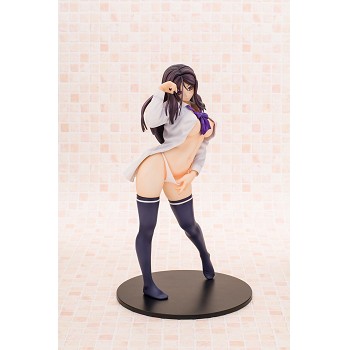 The anime sexy figure