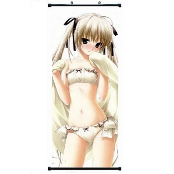 The anime wall scroll 40*102CM