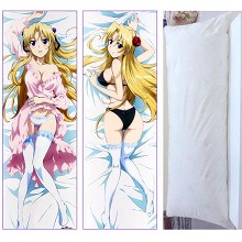 Campione anime two-sided pillow