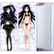 Accel World anime two-sided pillow