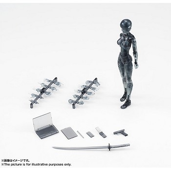 shf Female body figure