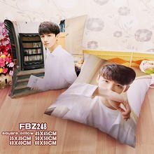 Star Baijingting two-sided pillow