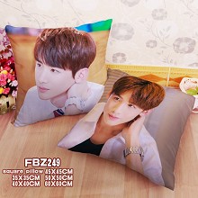 Star Baijingting two-sided pillow