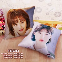 Star Zheng Shuang two-sided pillow