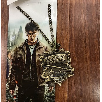 Harry Potter necklace