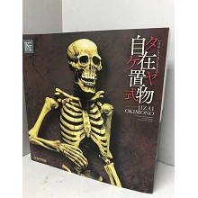 The bones figure