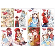 Hataraku Saibou Cells At Work anime posters set(8pcs a set)