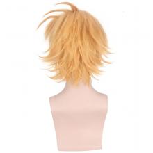 My Hero Academia cosplay wig PL-288/PL-706/PL-364/PL-774/PL-123