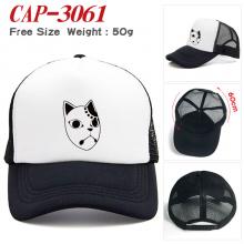 CAP-3061
