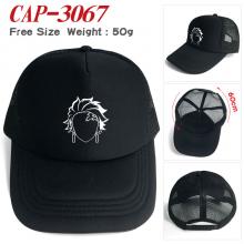 CAP-3067
