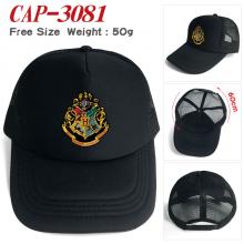 CAP-3081