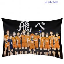 czt-Haikyuu2