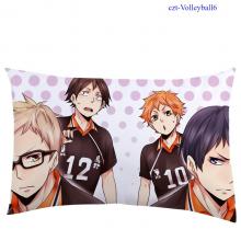 czt-Haikyuu6