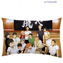 czt-Haikyuu8