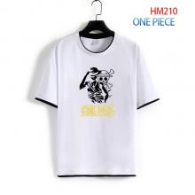 HM-209-2