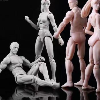 SHF Female Male body model constitution figure