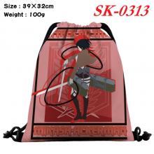 SK-0313