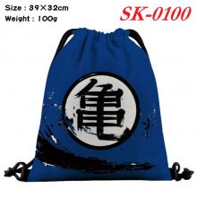 SK-0100