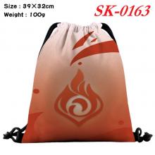 SK-0163