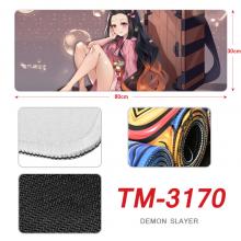 TM-3170