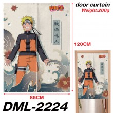 DML-2224